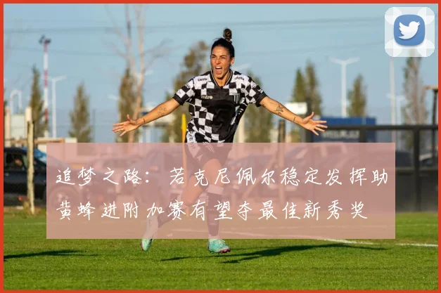 追梦之路：若克尼佩尔稳定发挥助黄蜂进附加赛有望夺最佳新秀奖